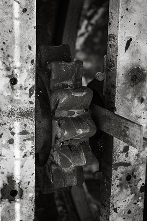 MON_4877-2