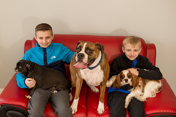 Rummer_Dogs (6)