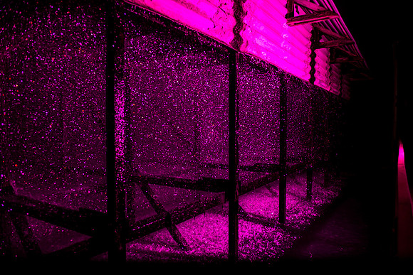 MON_5144