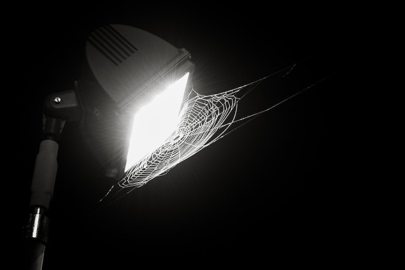MON_5203