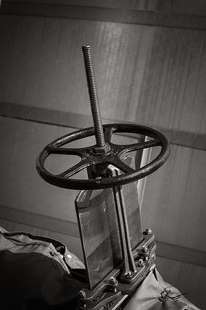 MON_4861-2
