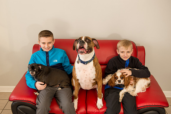 Rummer_Dogs (7)
