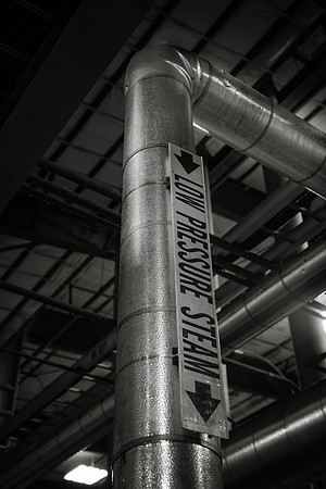 MON_5355-2